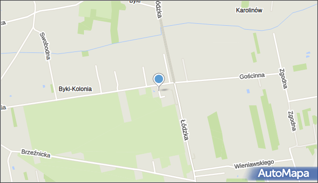 Piotrków Trybunalski, Przydziakowa, mapa Piotrków Trybunalski
