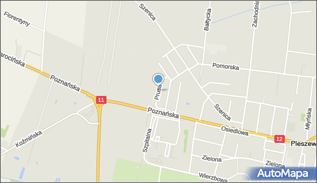 Pleszew, Prusa, mapa Pleszew