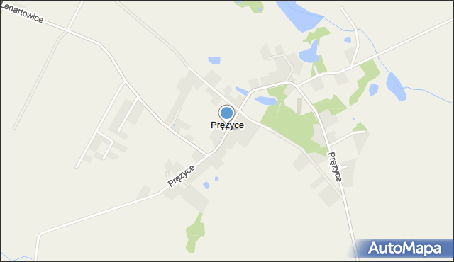 Prężyce, Prężyce, mapa Prężyce
