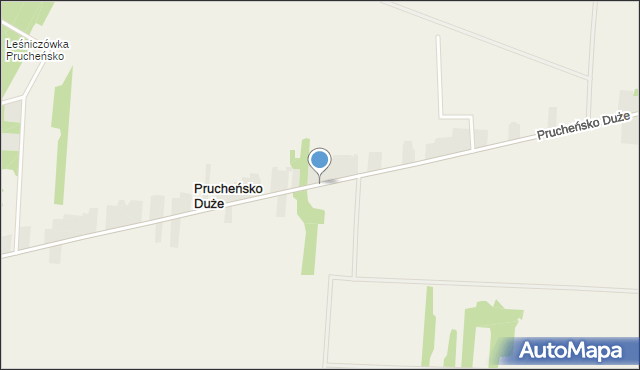 Prucheńsko Duże, Prucheńsko Duże, mapa Prucheńsko Duże