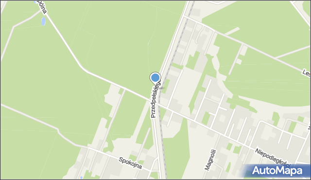 Wieliszew, Przedpełskiego Józefa, por., mapa Wieliszew