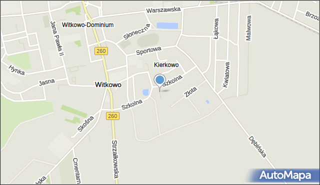 Witkowo powiat gnieźnieński, Prosta, mapa Witkowo powiat gnieźnieński