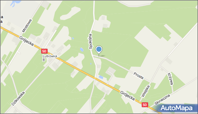 Zimna Woda gmina Mszczonów, Prosta, mapa Zimna Woda gmina Mszczonów