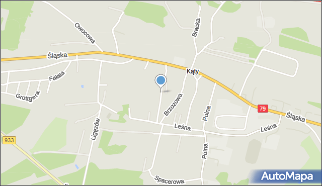 Chrzanów, Pszczelna, mapa Chrzanów