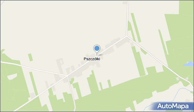 Pszczółki gmina Zelów, Pszczółki, mapa Pszczółki gmina Zelów