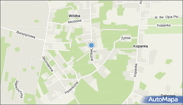 Wódka gmina Nowosolna, Pszeniczna, mapa Wódka gmina Nowosolna