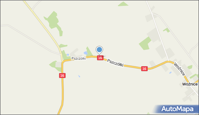 Woźnice, Pszczółki, mapa Woźnice