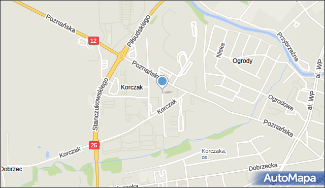 Kalisz, Ptasia, mapa Kalisza
