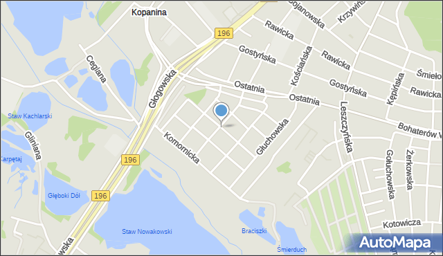 Poznań, Ptaszkowska, mapa Poznania