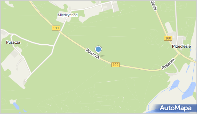 Puszcza gmina Międzychód, Puszcza, mapa Puszcza gmina Międzychód