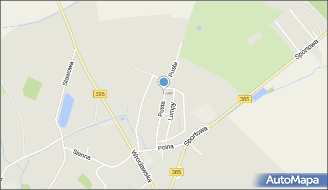 Ziębice, Pusta, mapa Ziębice