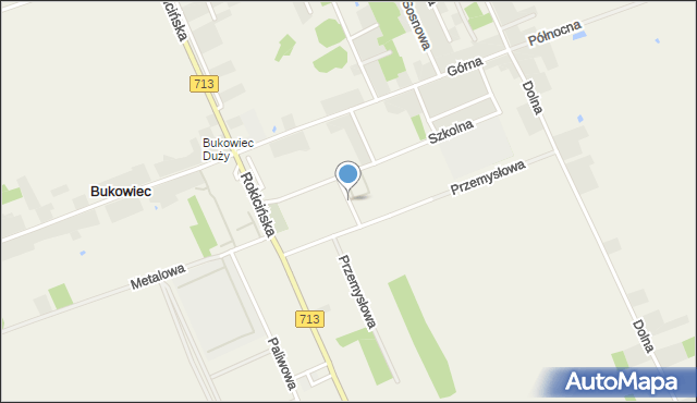 Bukowiec gmina Brójce, Radosna, mapa Bukowiec gmina Brójce