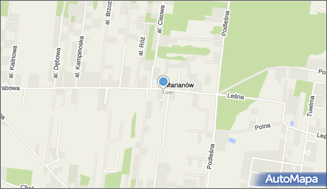 Grądy gmina Leszno, Radosna, mapa Grądy gmina Leszno