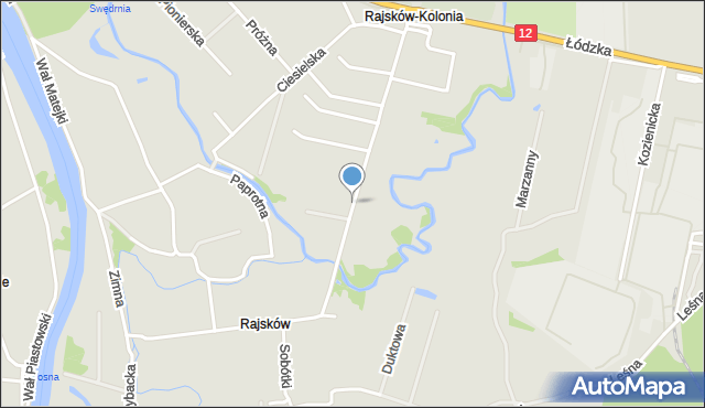 Kalisz, Rajskowska, mapa Kalisza