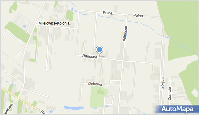 Milejowice gmina Zakrzew, Radosna, mapa Milejowice gmina Zakrzew