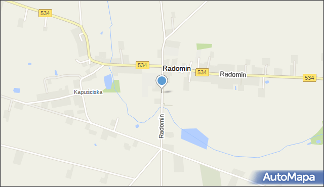 Radomin powiat golubsko-dobrzyński, Radomin, mapa Radomin powiat golubsko-dobrzyński