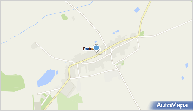 Radoszyn, Radoszyn, mapa Radoszyn