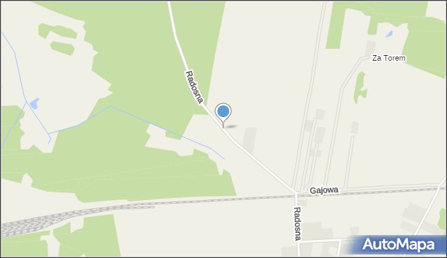 Rykoszyn, Radosna, mapa Rykoszyn