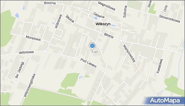 Wilkszyn, Radosna, mapa Wilkszyn