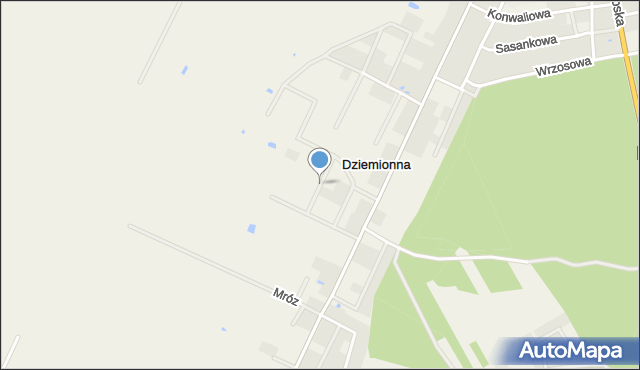 Dziemionna, Rowerowa, mapa Dziemionna