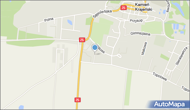 Kamień Krajeński, Rodziny Seydów, mapa Kamień Krajeński
