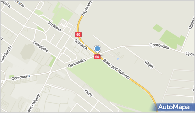 Kutno, Rondo Jasiukowicza Stanisława, mapa Kutno