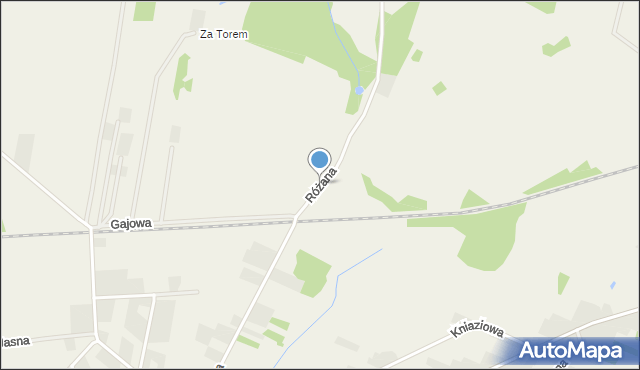 Rykoszyn, Różana, mapa Rykoszyn