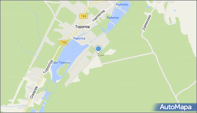 Ruszkowice gmina Borkowice, Ruszkowice, mapa Ruszkowice gmina Borkowice