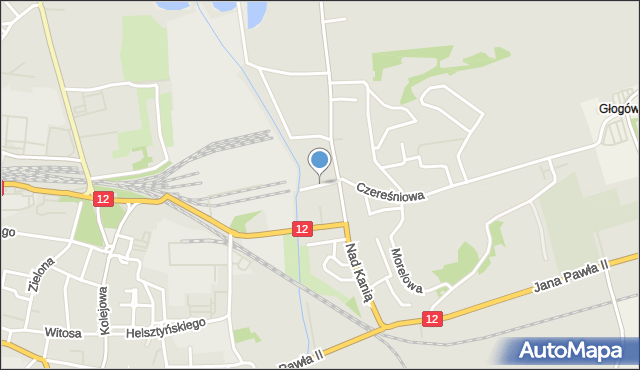 Gostyń, Rzeczna, mapa Gostyń