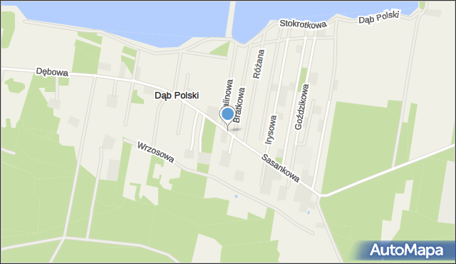 dab polski mapa Sasankowa Dąb Polski, Ulica, 87 815