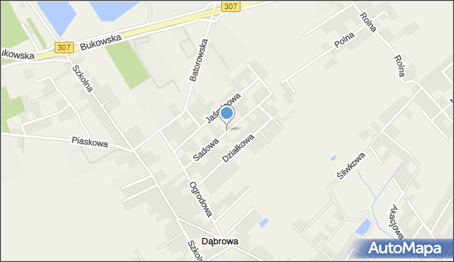 Dąbrowa gmina Dopiewo, Sadowa, mapa Dąbrowa gmina Dopiewo