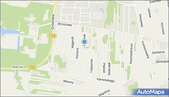 Nowa Wieś gmina Michałowice, Sasanek, mapa Nowa Wieś gmina Michałowice