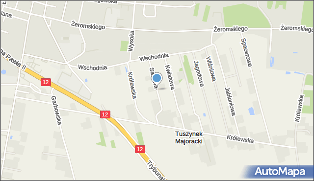 Tuszynek Majoracki, Sadowa, mapa Tuszynek Majoracki