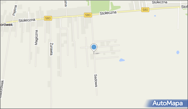 Zaborówek gmina Leszno, Sadowa, mapa Zaborówek gmina Leszno