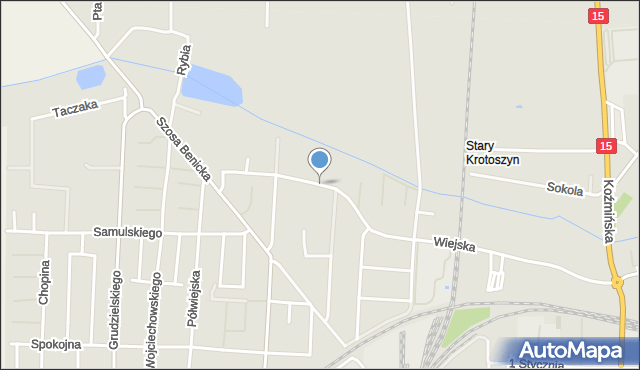 Krotoszyn, Ściegiennego Piotra, ks., mapa Krotoszyna