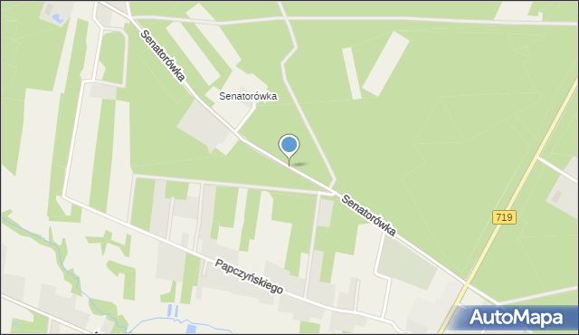 Puszcza Mariańska, Senatorówka, mapa Puszcza Mariańska