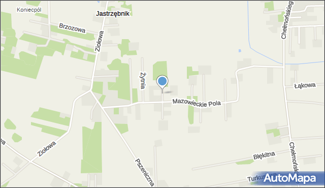 Jastrzębnik gmina Żabia Wola, Siewna, mapa Jastrzębnik gmina Żabia Wola