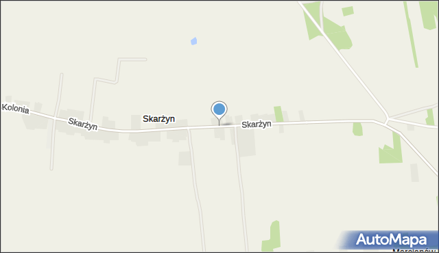 Skarżyn gmina Kawęczyn, Skarżyn, mapa Skarżyn gmina Kawęczyn