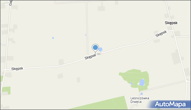 Skępsk, Skępsk, mapa Skępsk