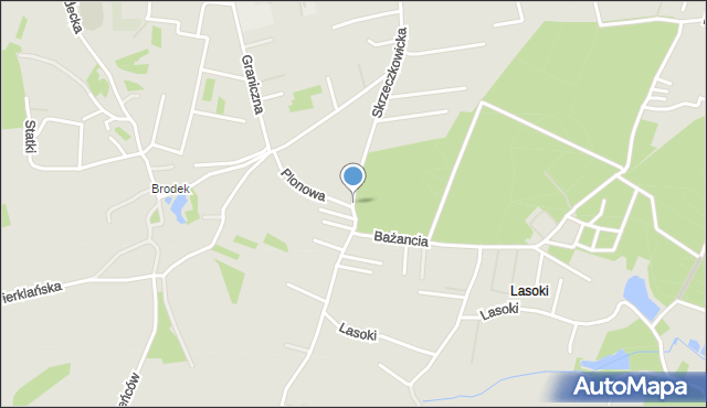 Żory, Skrzeczkowicka, mapa Żor