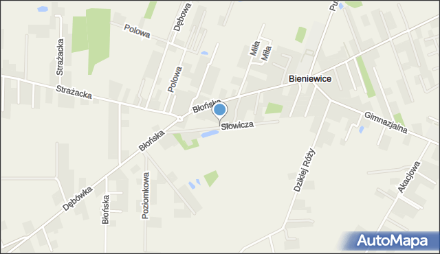 Bieniewice, Słowicza, mapa Bieniewice