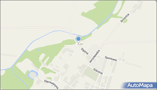 Borów powiat strzeliński, Ślężna, mapa Borów powiat strzeliński