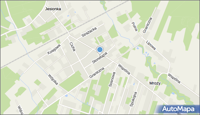 Jesionka gmina Wiskitki, Słoneczna, mapa Jesionka gmina Wiskitki