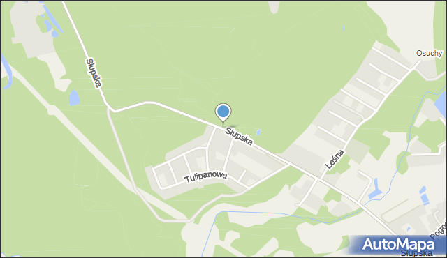 Krępa Słupska, Słupska, mapa Krępa Słupska