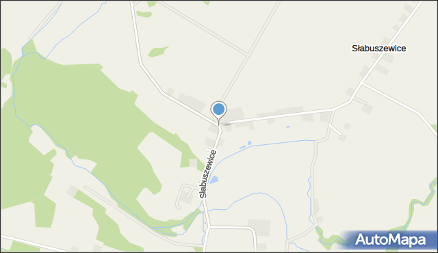 Słabuszewice, Słabuszewice, mapa Słabuszewice