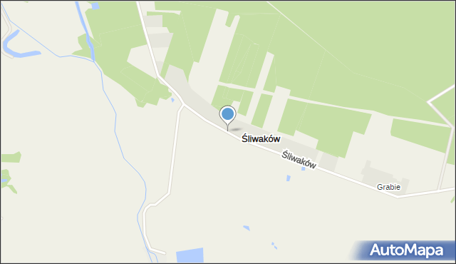 Śliwaków, Śliwaków, mapa Śliwaków