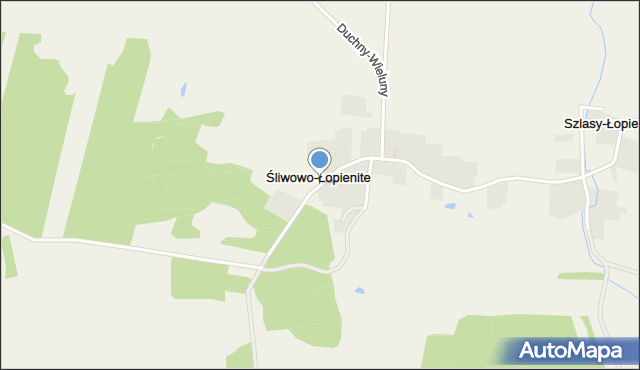 Śliwowo-Łopienite, Śliwowo-Łopienite, mapa Śliwowo-Łopienite
