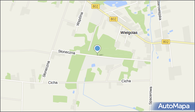 Wielgolas gmina Latowicz, Słoneczna, mapa Wielgolas gmina Latowicz