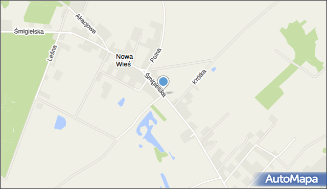 Nowa Wieś gmina Śmigiel, Śmigielska, mapa Nowa Wieś gmina Śmigiel