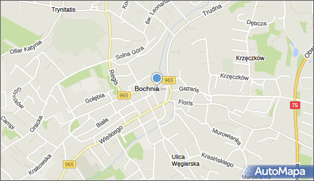 Bochnia, Solna, mapa Bochni